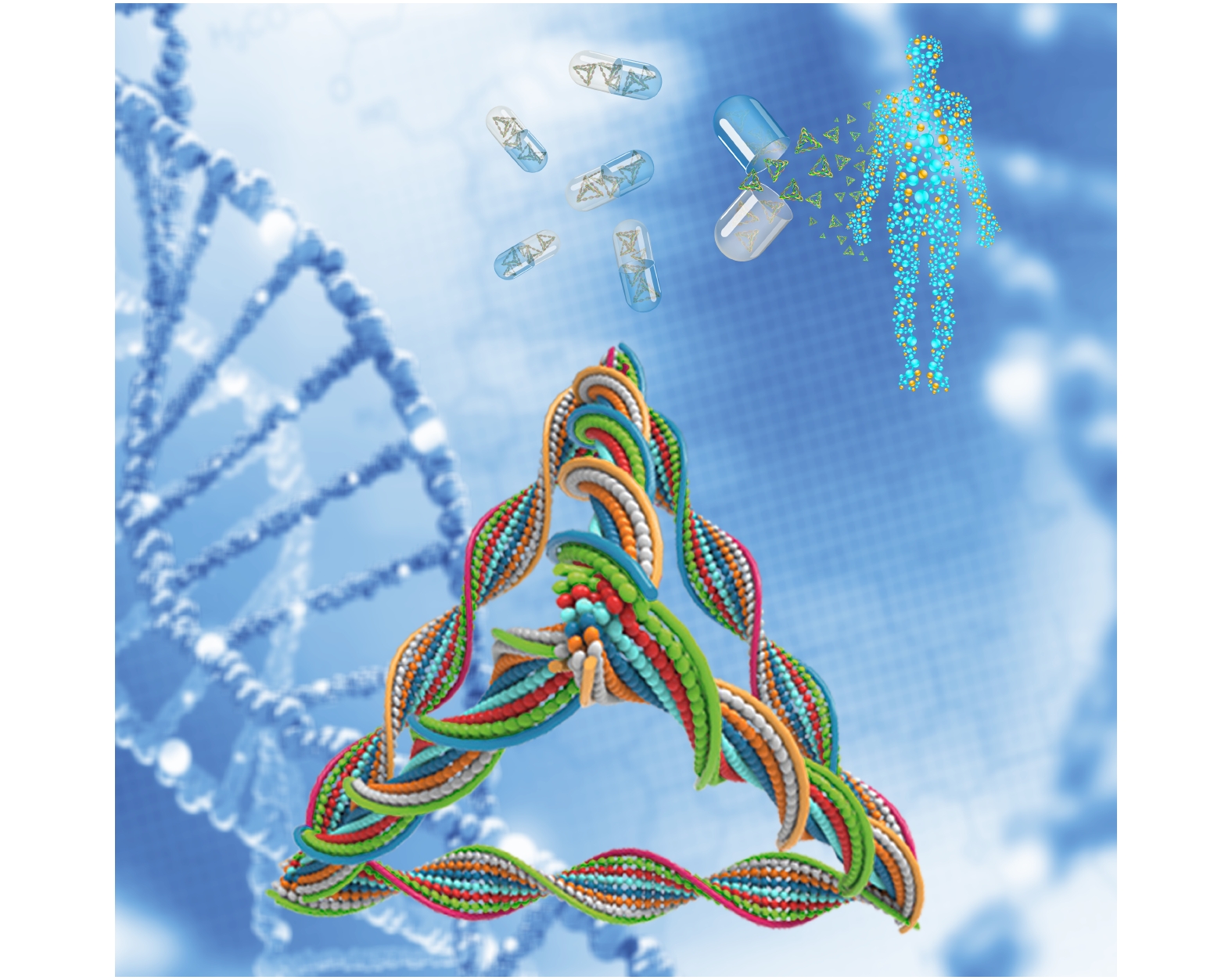 tetrahedral framework nucleic acids and human