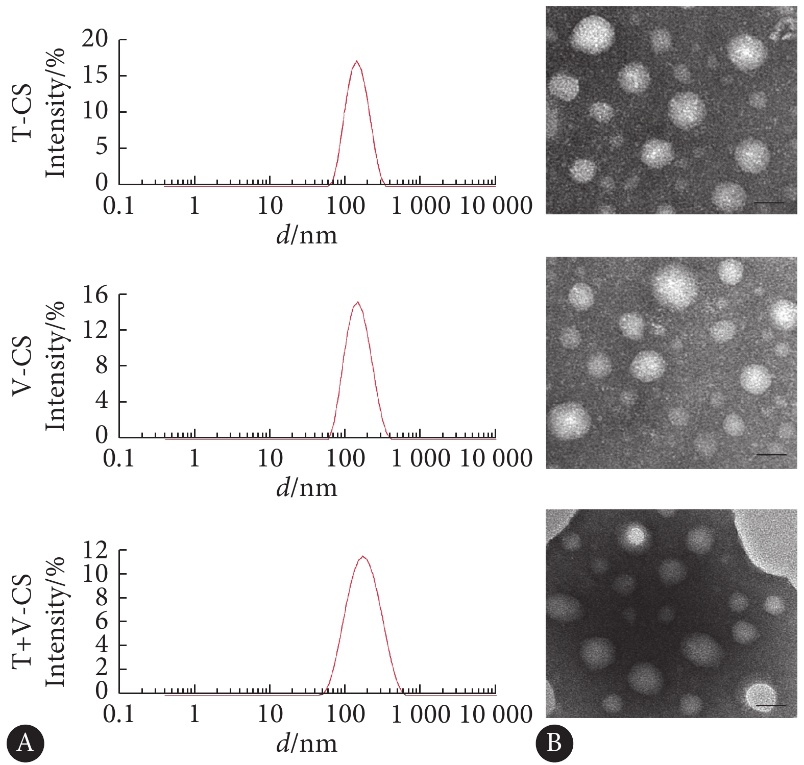 co-delivery of pirarubicin and vinorelbine by mice